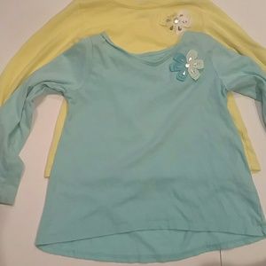 2 Carter's Long Sleeve Toddler Girl Shirts Size 4T